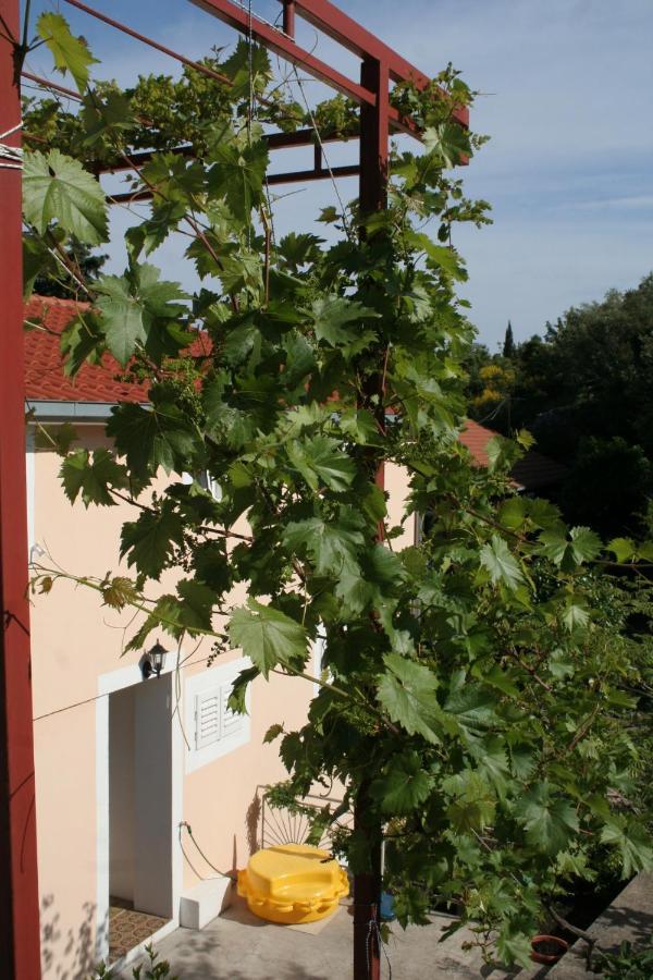 Apartments By The Sea Trpanj, Peljesac - 257 Extérieur photo